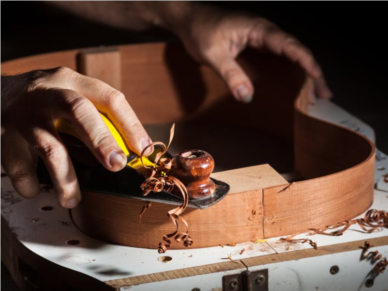 Musical Instruments Made of Endangered Species